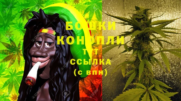 ГАЛЛЮЦИНОГЕННЫЕ ГРИБЫ Алексеевка