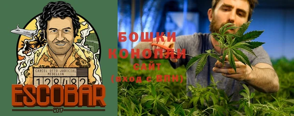 ГАЛЛЮЦИНОГЕННЫЕ ГРИБЫ Алексеевка