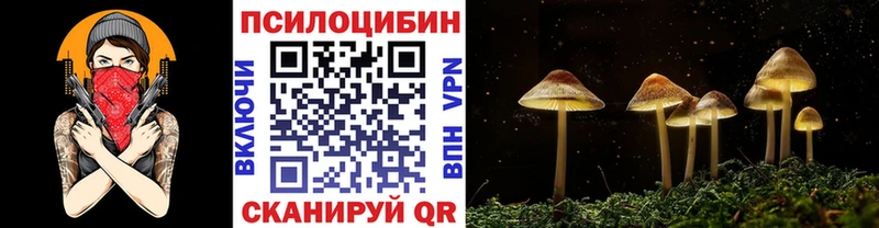 нарко площадка телеграм  хочу наркоту  Выкса  Псилоцибиновые грибы мицелий 
